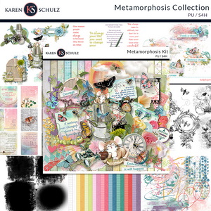 Metamorphosis Collection