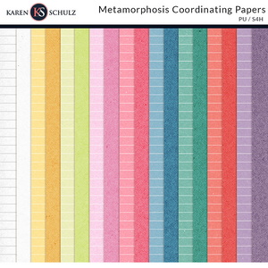 Metamorphosis Coordinating Papers
