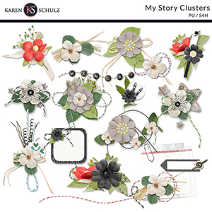 My Story Clusters