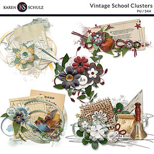 Vintage School Clusters