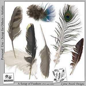 A Scrap of Feathers