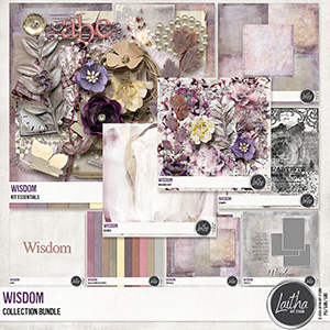 Wisdom - Collection Bundle