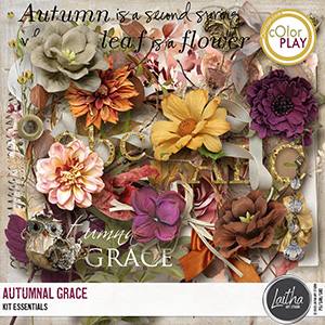 Autumnal Grace - Kit Essentials