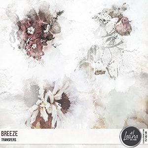 Breeze - Transfers