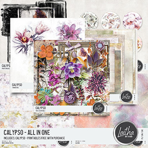 Calypso - All In One with Free With Purchase