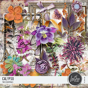Calypso - The Essentials