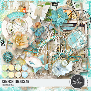 Cherish The Ocean - The Essentials
