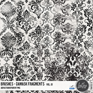 Damask Fragments Brushes & Stamps Vol. 01