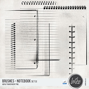 Notebooks Brushes & Stamps Vol. 01