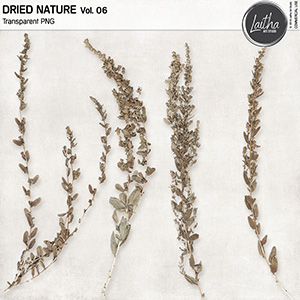 Dried Nature Vol. 06