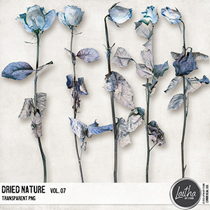 Dried Nature Vol. 07