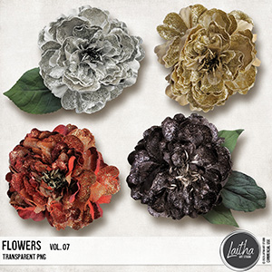Flowers Vol. 07