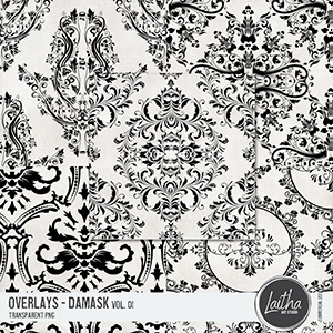 Damask Overlays Vol. 01