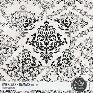 Damask Overlays Vol. 02