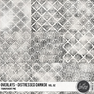Distressed Damask Overlays Vol. 02