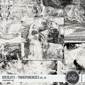 Transparencies Overlays Vol. 08
