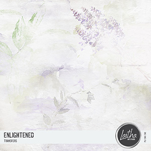 Enlightened - Transfers