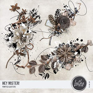 Hey Mister! - Painted Clusters