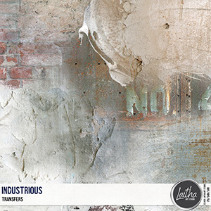Industrious - Transfers
