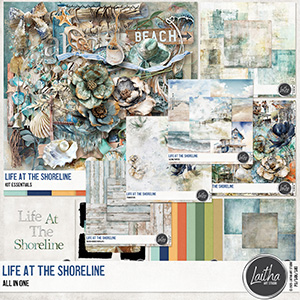 Life At The Shoreline - All In One