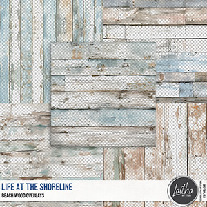 Life At The Shoreline - Beach Wood Overlays