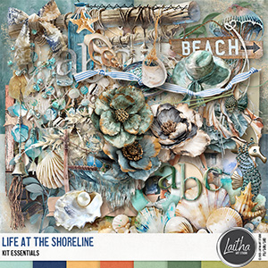 Life At The Shoreline - Kit Essentials