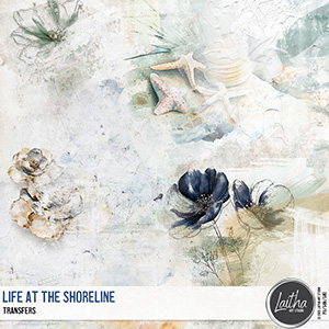 Life At The Shoreline - Transfers
