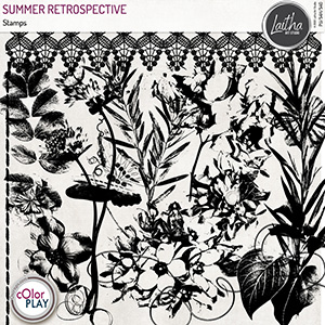 Summer Retrospective - Stamps