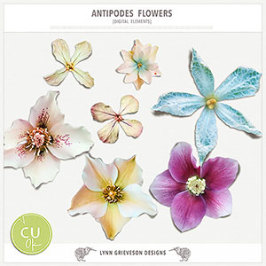 Antipodes CU flowers for digital scrapbooking