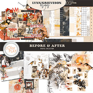 Before and After Collection by Lynn Grieveson