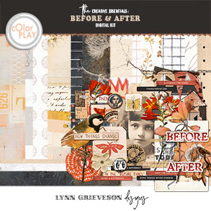 Before and After Kit by Lynn Grieveson