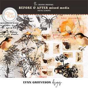 Before and After Mixed Media by Lynn Grieveson