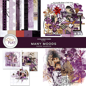 Many Moods Collection by Lynn Grieveson