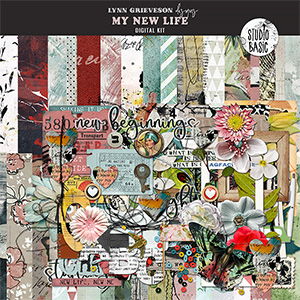 Digital Scrapbooking Kits  Life Series-Today Page Kit-(Arshia0