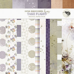 Take Flight Digital Scrapbooking Paper Pack