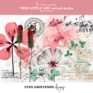 This Little Life Mixed Media by Lynn Grieveson