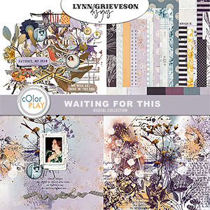 Waiting For This Mixed Media Collection by Lynn Grieveson