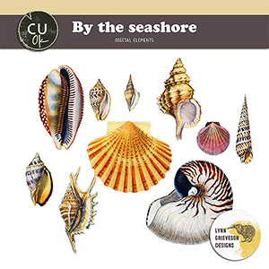 By The Seashore CU seashell illustrations for digital scrapbooking