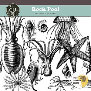Rock Pool CU brushes and stamps for digital scrapbooking