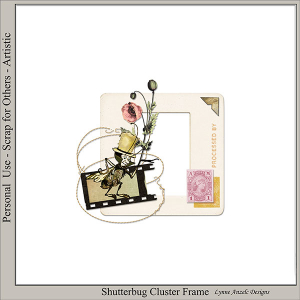 Shutterbug Gift 02
