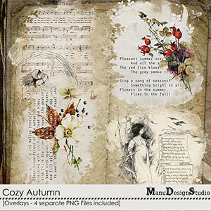 Cozy Autumn - Overlays