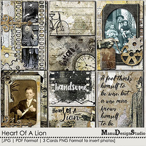 Heart Of A Lion Pocket Cards by Manu Design Studio