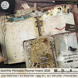 Set 1 - 2020 Monthly Printable Planner Inserts