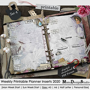 Set 4 - 2020 Weekly Printable Planner Inserts