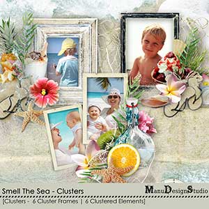 Smell The Sea - Clusters