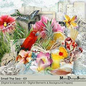 Smell The Sea - Kit