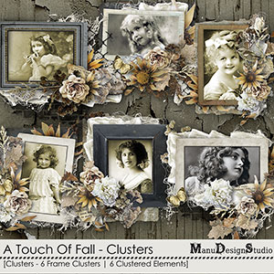 A Touch Of Fall - Clusters