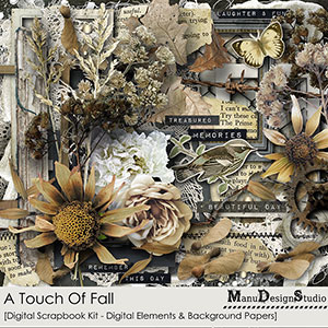 A Touch Of Fall - Kit