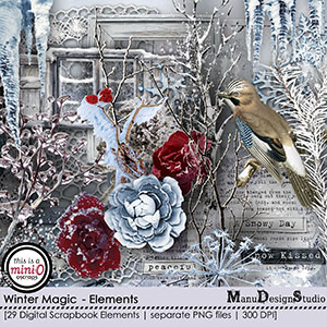 Winter Magic - Elements