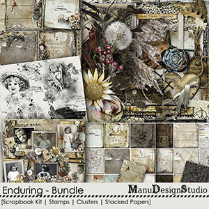 Enduring - Bundle